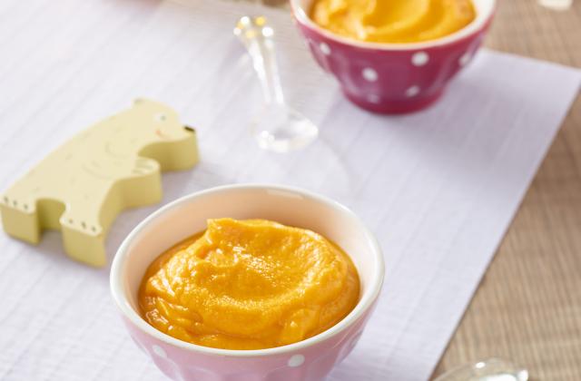 Recette Puree De Carottes Aux Pommes Et Au Poulet 750g