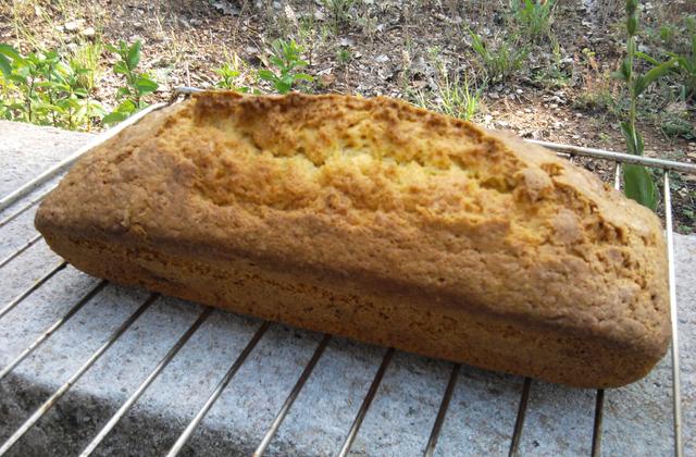 Gâteau à la carotte - Photo par andrewE