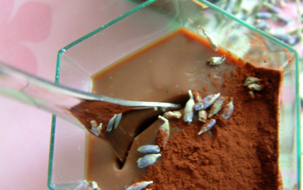 Crèmes chocolat au lait à la lavande en verrines - Photo par cupcakista