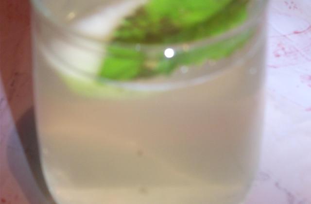 Mojito sans alcool aux granny smith - Photo par gaellelecolo43