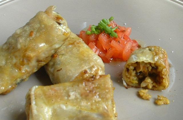 Rouleaux de légumes au boulgour à l'indienne - Photo par Saveurs et Gourmandises d Eugénie