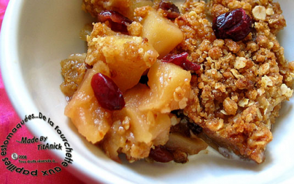 Crumble aux céréales, pommes et canneberges - Photo par TitAnick