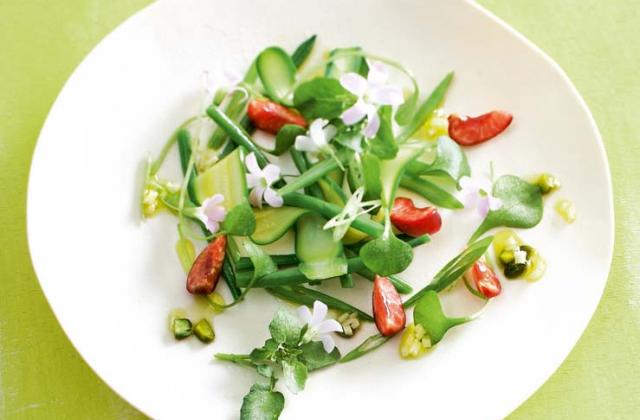 Salade de courgettes haricots cerises et sauce pistache - Photo par aquiliD
