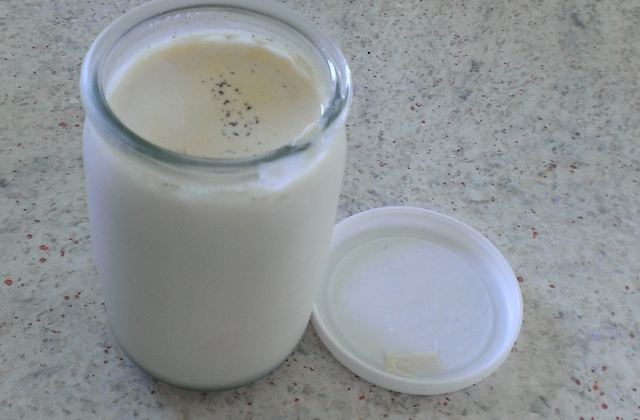 Yaourt au lait de chèvre à la vanille - Photo par margaga