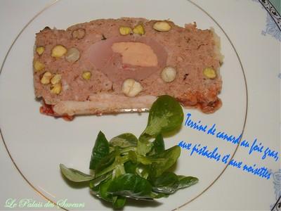 Terrine de canard au foie gras, noisettes et pistaches - Photo par valeriYV