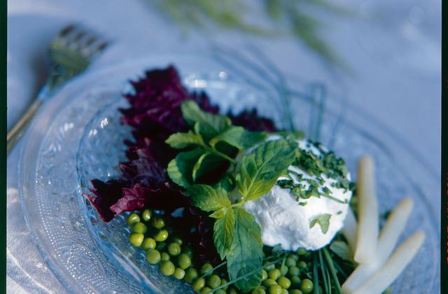 Fond de petits pois dans leur jus tiède à la menthe infusée et chèvre - Photo par Cassegrain
