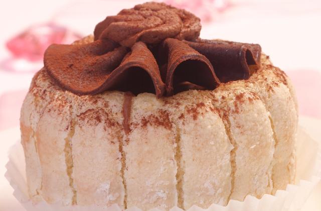 Ma charlotte au chocolat simplissime - Photo par delf745