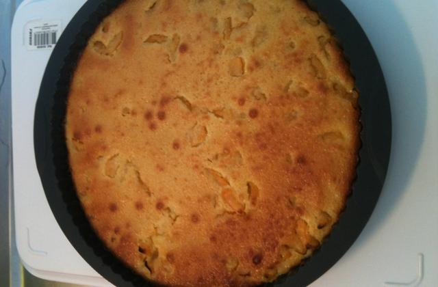 Gâteau d'abricots - Photo par belinob
