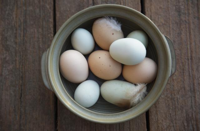 Comment décorer ses œufs de Pâques ? - Florentine - 750g