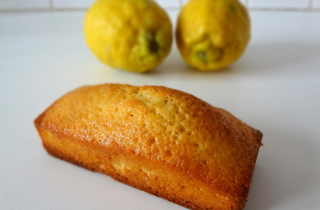 Recette Mini Cakes Au Citron Maison 750g Recette Mini Cakes Au Citron Maison 750g