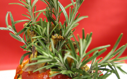 Carré d'agneau au pesto de romarin en habit de Noël - Photo par Parmesan et Paprika