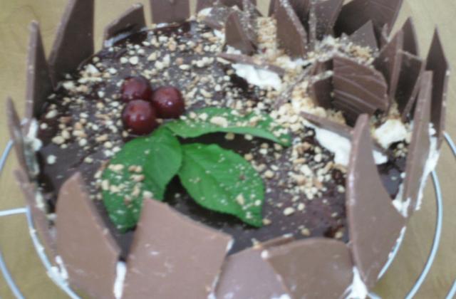 My black forest - Photo par NPrice