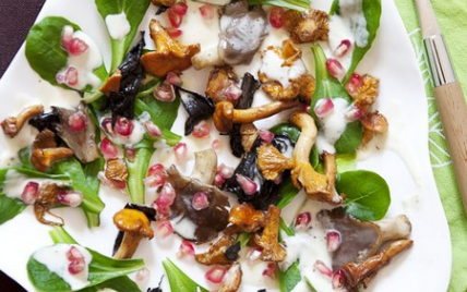 Une salade de mâche aux champignons et à la grenade.... façon tableau de peintre - Photo par frederjdU