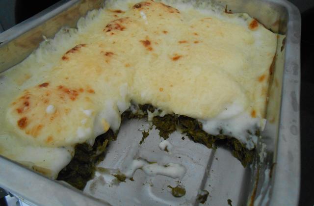 Gratin d'épinard à la florentine - Photo par VirginieL