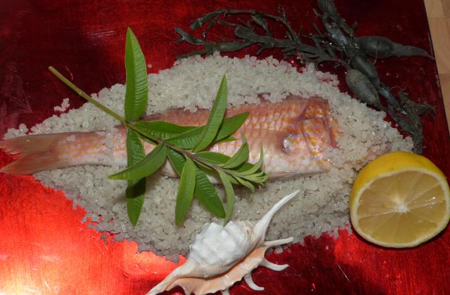 Grondin perlon en habit d'algues, croûte de sel, sauce citronnée à la verveine - Photo par CHRIS DE TOULOUSE