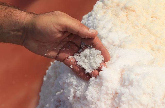 8 trucs à savoir sur la récolte du sel - 750g