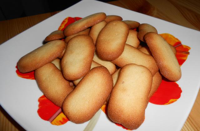 Langues de chat - Photo par VirginieL
