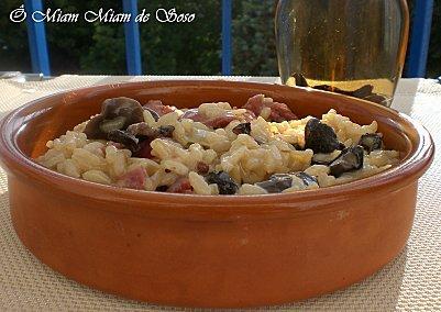 Risotto aux gésiers de canard et champignons - Photo par soso78410