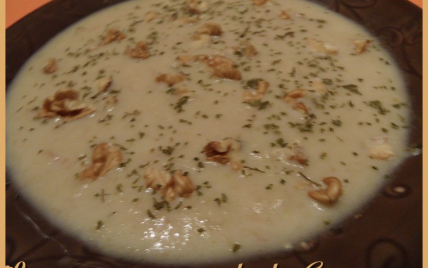 Velouté d'endives - Photo par Carmen