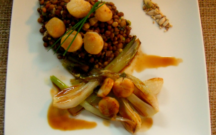 Salade de lentillons de champagne coquilles saint jacques nippones - Photo par izabele