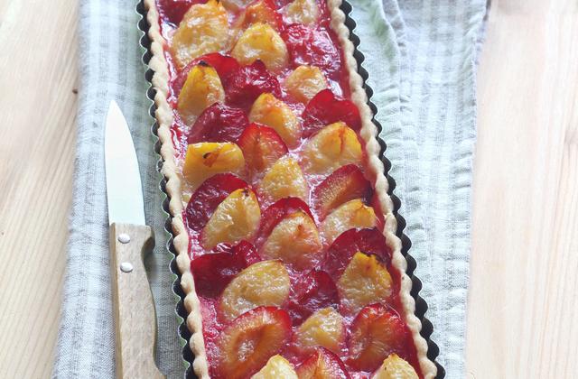 Tarte multicolore aux prunes - Photo par Silvia Santucci