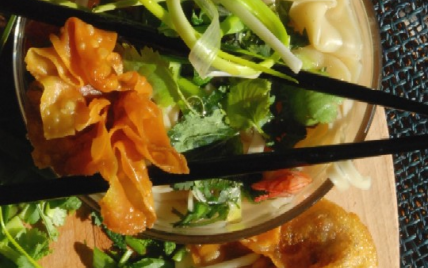 Soupe asiatique aux deux raviolis - Photo par dorian_nieto