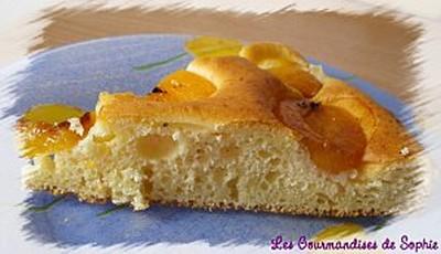 Moelleux au yaourt vanillé et ses abricots caramélisés - Photo par Sophie21