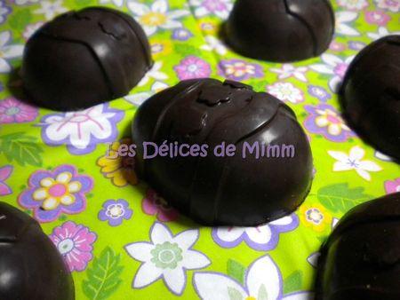 œufs en chocolat fourrés à la ganache au gianduja - Photo par mimm10