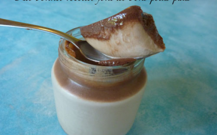 Yaourts très crémeux au nutella - Photo par drinou_331
