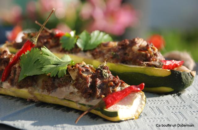 Courgettes colorées farcies au bœuf, cumin et coriandre - Photo par scarlett