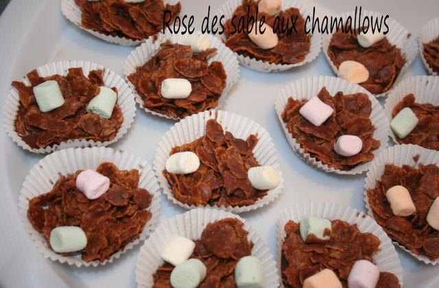 Rose des sables aux chamallows - Photo par sophroch