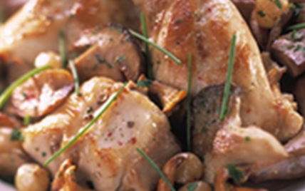 Lapin aux raisins et champignons des bois - Photo par CLIPP