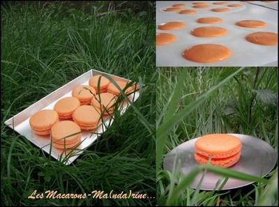 Le Macaron Mandarine - marinehq