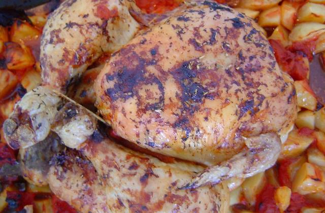 Poulet rôti aux herbes de Provence - Photo par titoulfr