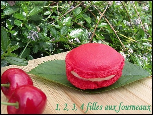 Macarons coquelicot / cerise - Photo par 1, 2, 3, 4 filles aux fourneaux