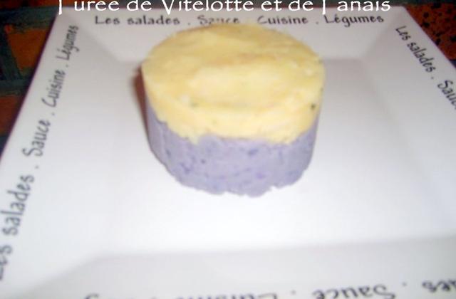 Purée de vitelotte et panais - Photo par adelinaK