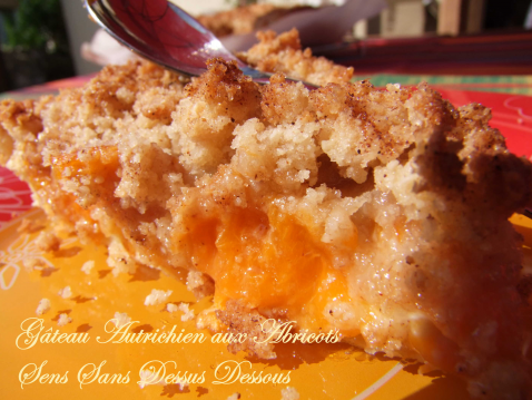 Gâteaux autrichiens aux abricots - Photo par timotheh