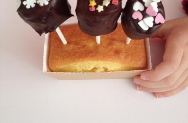 Petits cakes et leurs sucettes - Photo par audzoe