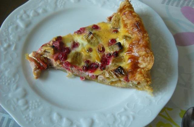 Tarte à la rhubarbe et aux groseilles - Photo par moronr