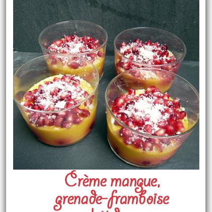 Crème mangue, grenade-framboise au lait de coco - Communauté 750g