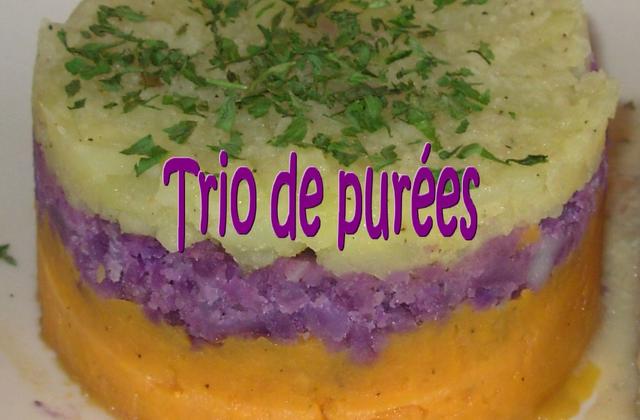 Purée tricolore - Photo par paulinc7