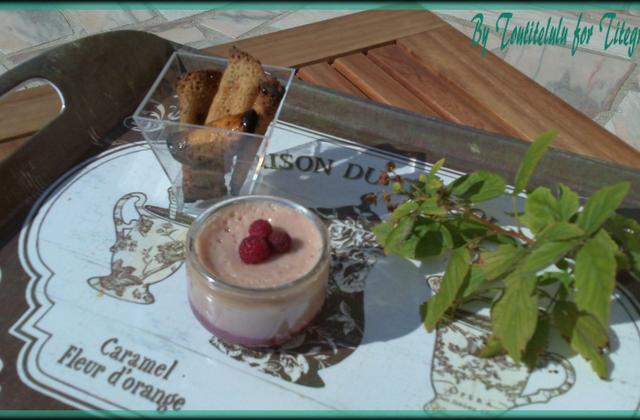 Crème dessert à la nectarine et aux éclats de framboise sur son coulis - Photo par Toutitelulu