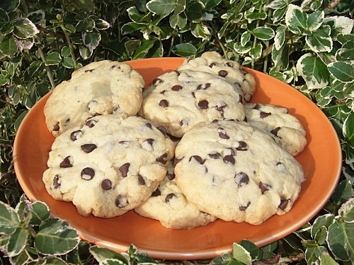 Cookies d'Anaëlle - Photo par 1, 2, 3, 4 filles aux fourneaux