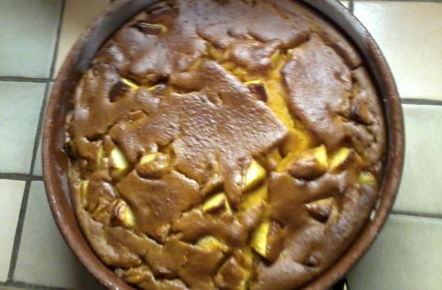 Gâteau de citrouille, coco et pomme - elodieL9