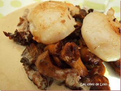 Saint-Jacques sur lit de girolles et sa petite sauce au foie gras - Photo par lapopotedelolo