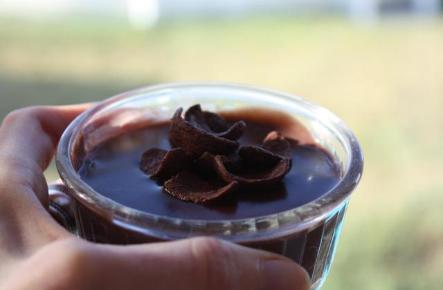 Crèmes aux chocapic (thermomix) - marinazb