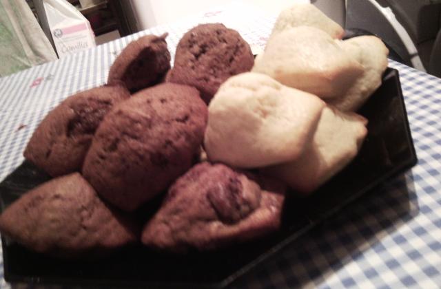 Madeleines commes des vraies - Photo par linettx2