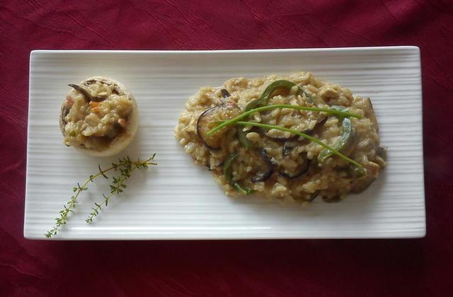 Risotto de dinde aux légumes du soleil - manueod