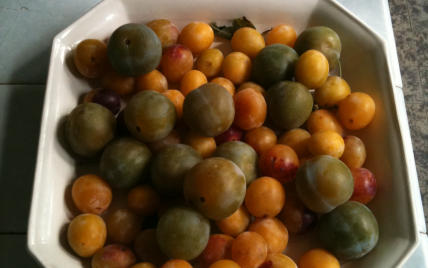 Pie aux prunes - Photo par isabelOTY