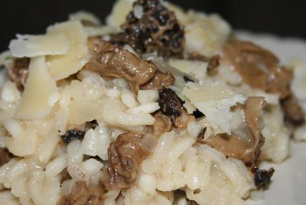 Risotto aux morilles et parmesan - Photo par missfrE